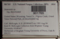 Image Associated With the Occurence